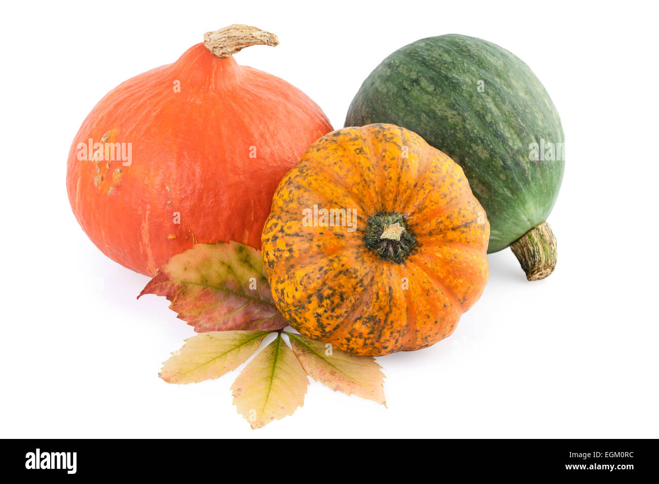 pumpkins squash Stock Photo