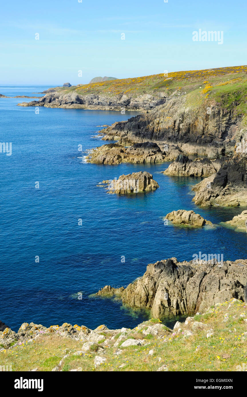 The rugged coastline near Porthclais (or Porth Clais), Pembrokeshire, Wales, UK Stock Photo
