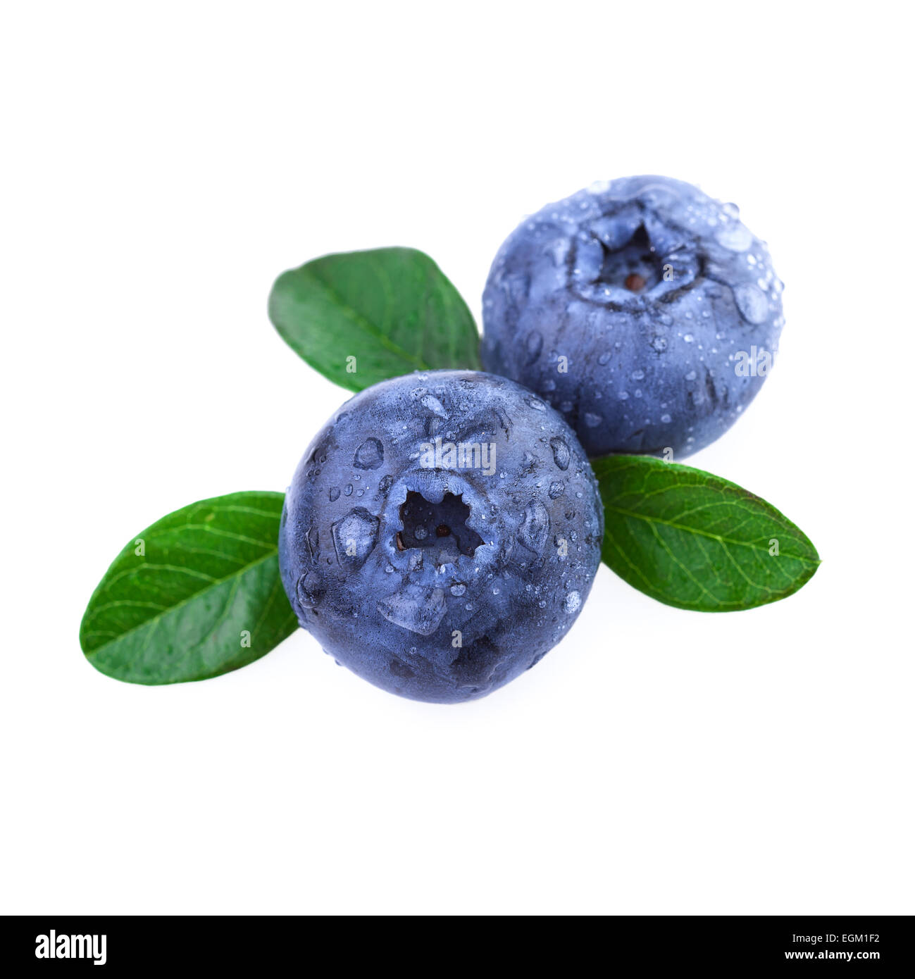 blueberries in close up macro Stock Photo