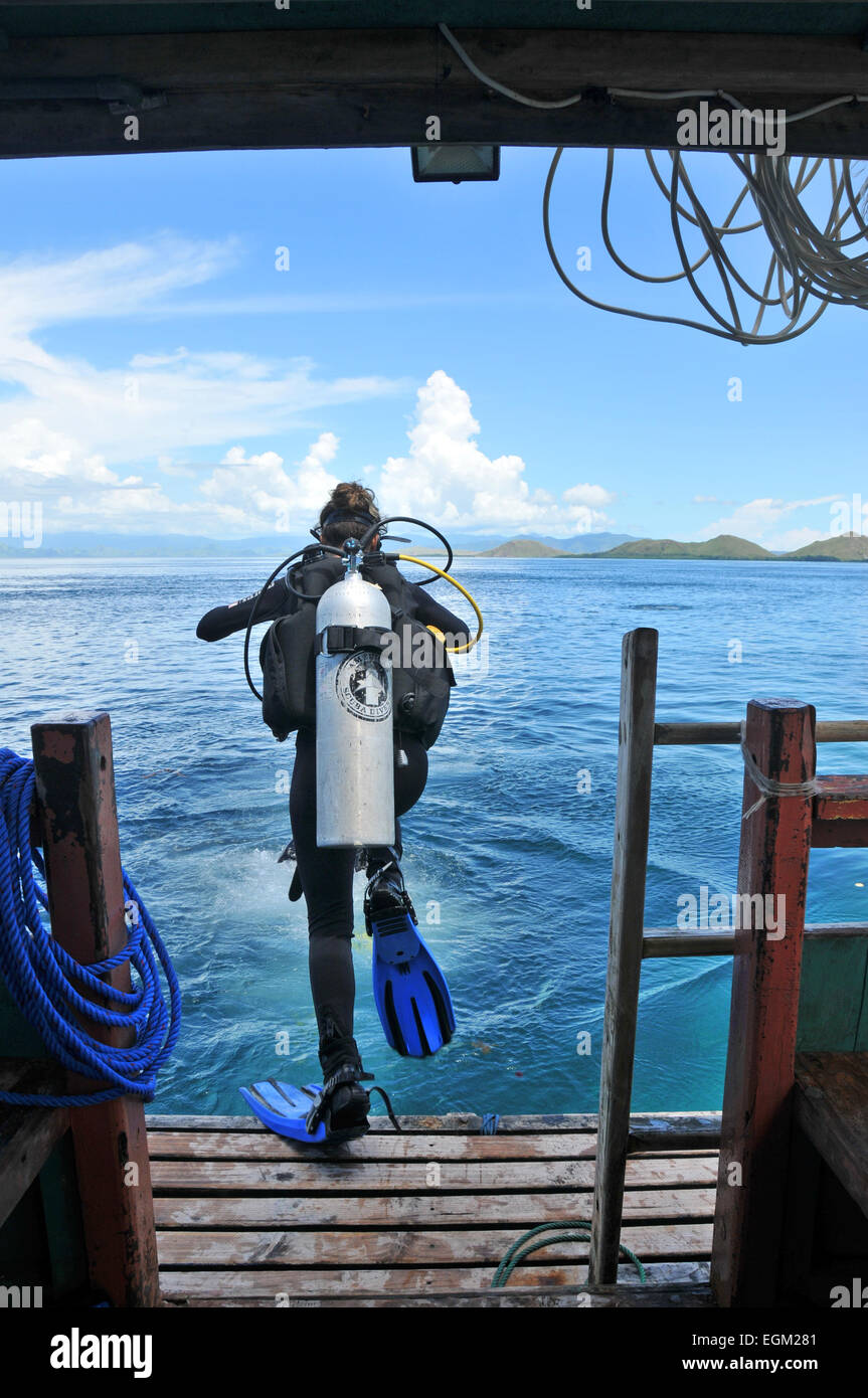 Dive jump Stock Photo Alamy