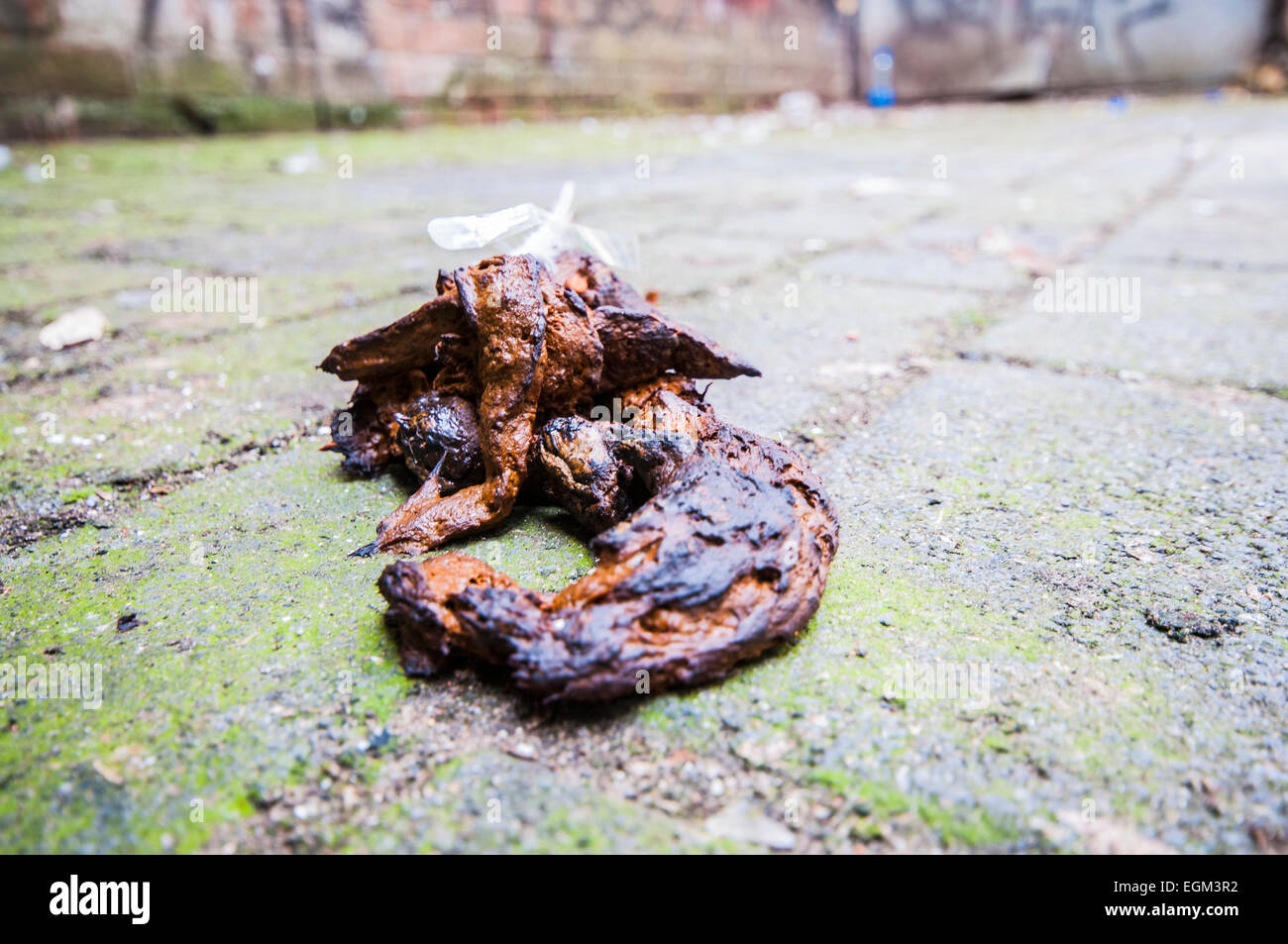 Human excrement on a city pavement following a Saturday night of drinking Stock Photo