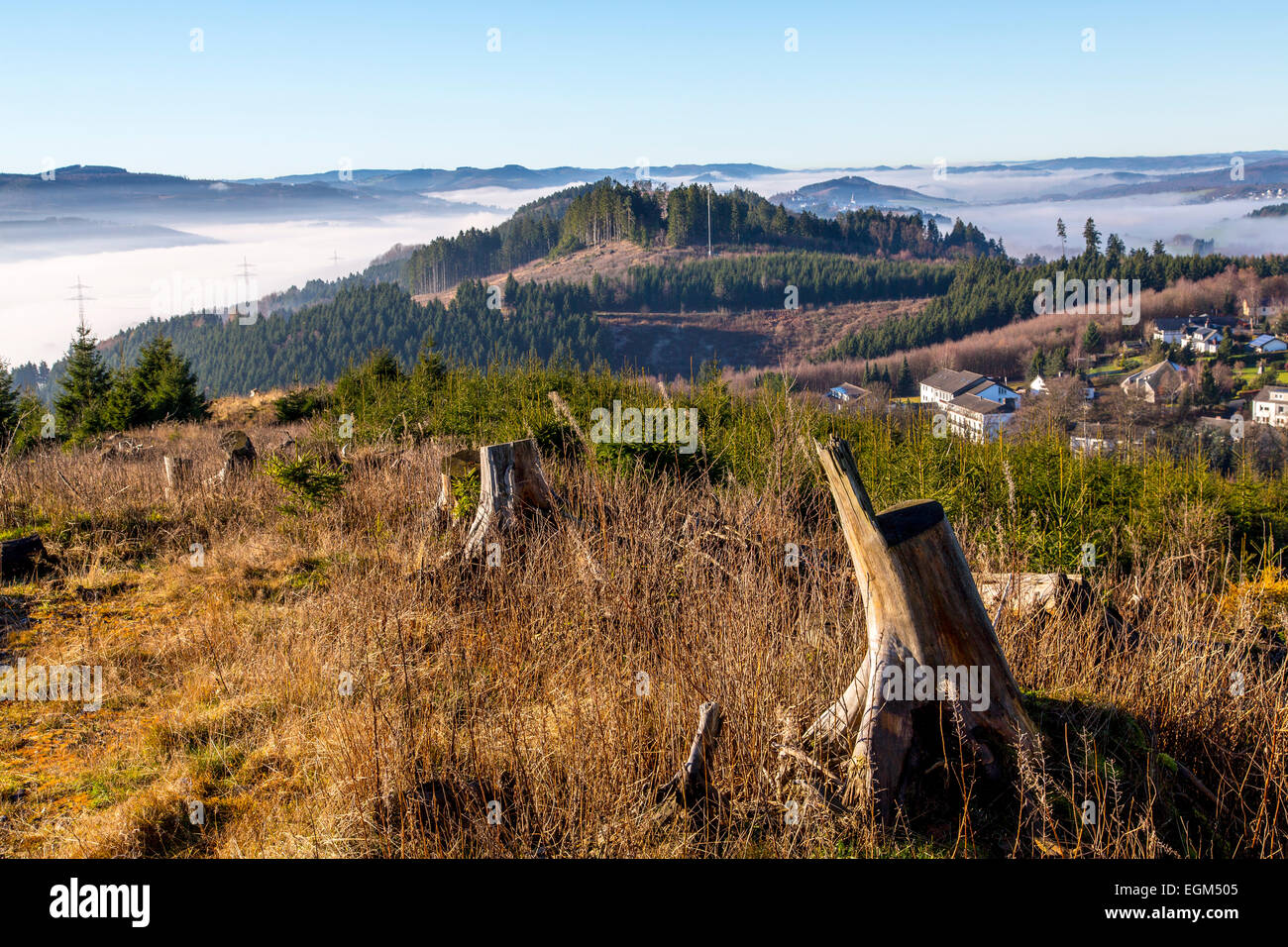 Mountain in the Sauerland area, was hit by hurricane 'Kyrill' in 2007, total destroyed forest, Stock Photo