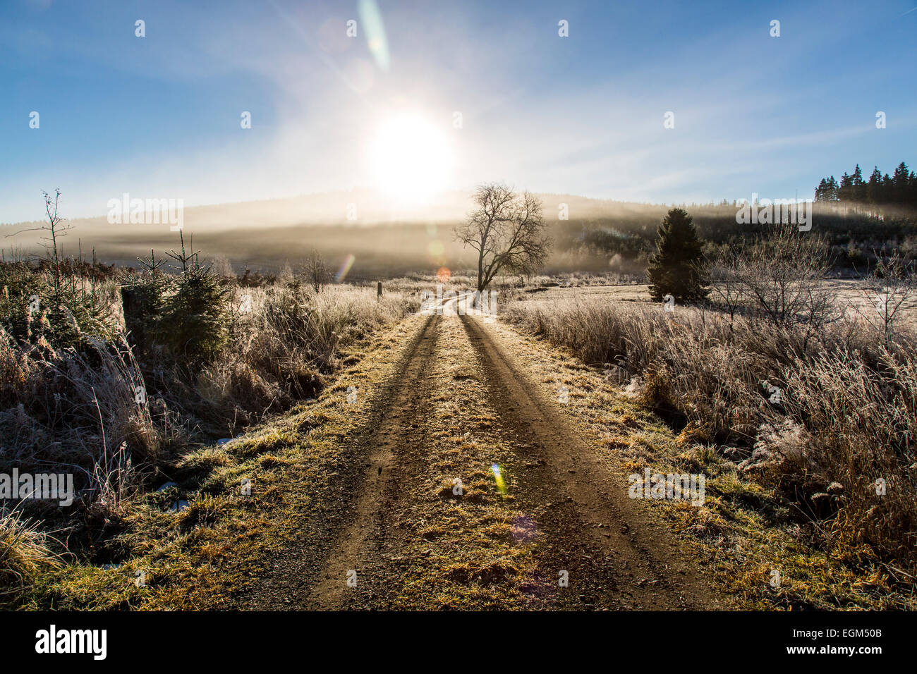 Sauerland area, mid-mountain area, high heath area Stock Photo - Alamy