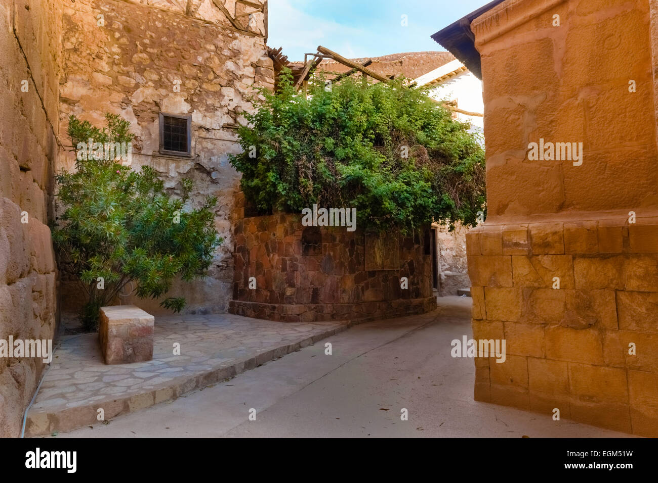 Burning Bush in St. Catherine's monastery, Sinai, Egypt Stock Photo Alamy