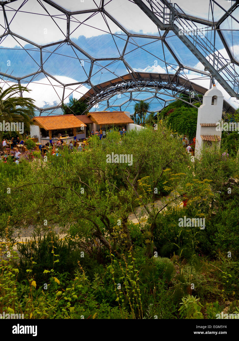 Interior of geodesic biome domes at the Eden Project near St Austell Cornwall England UK designed by Nicholas Grimshaw 2001 Stock Photo