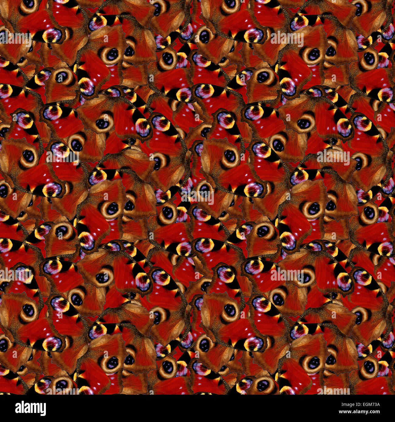 Dark wing pattern hi-res stock photography and images - Alamy