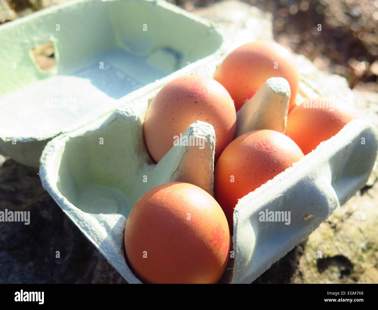 Download 5 Eggs In Eggbox Stock Photo Alamy PSD Mockup Templates