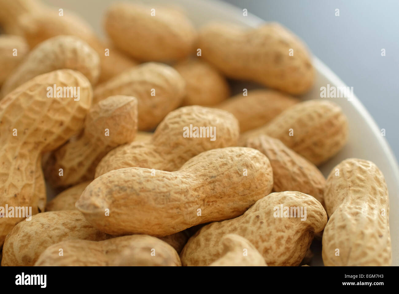 Peanuts in their shells Stock Photo Alamy