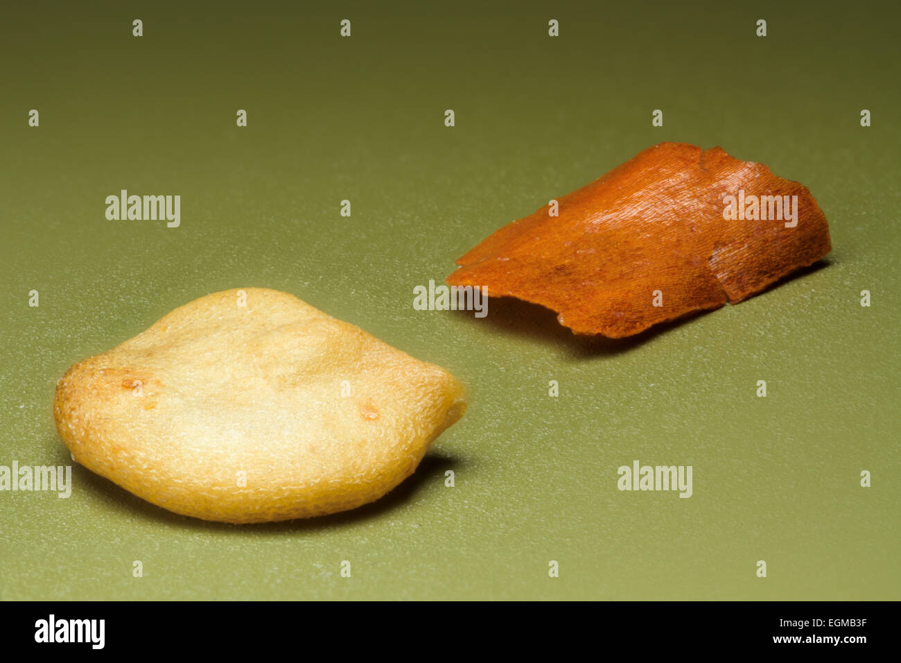 Crushed red pepper, seed and skin, macro photograph Stock Photo Alamy