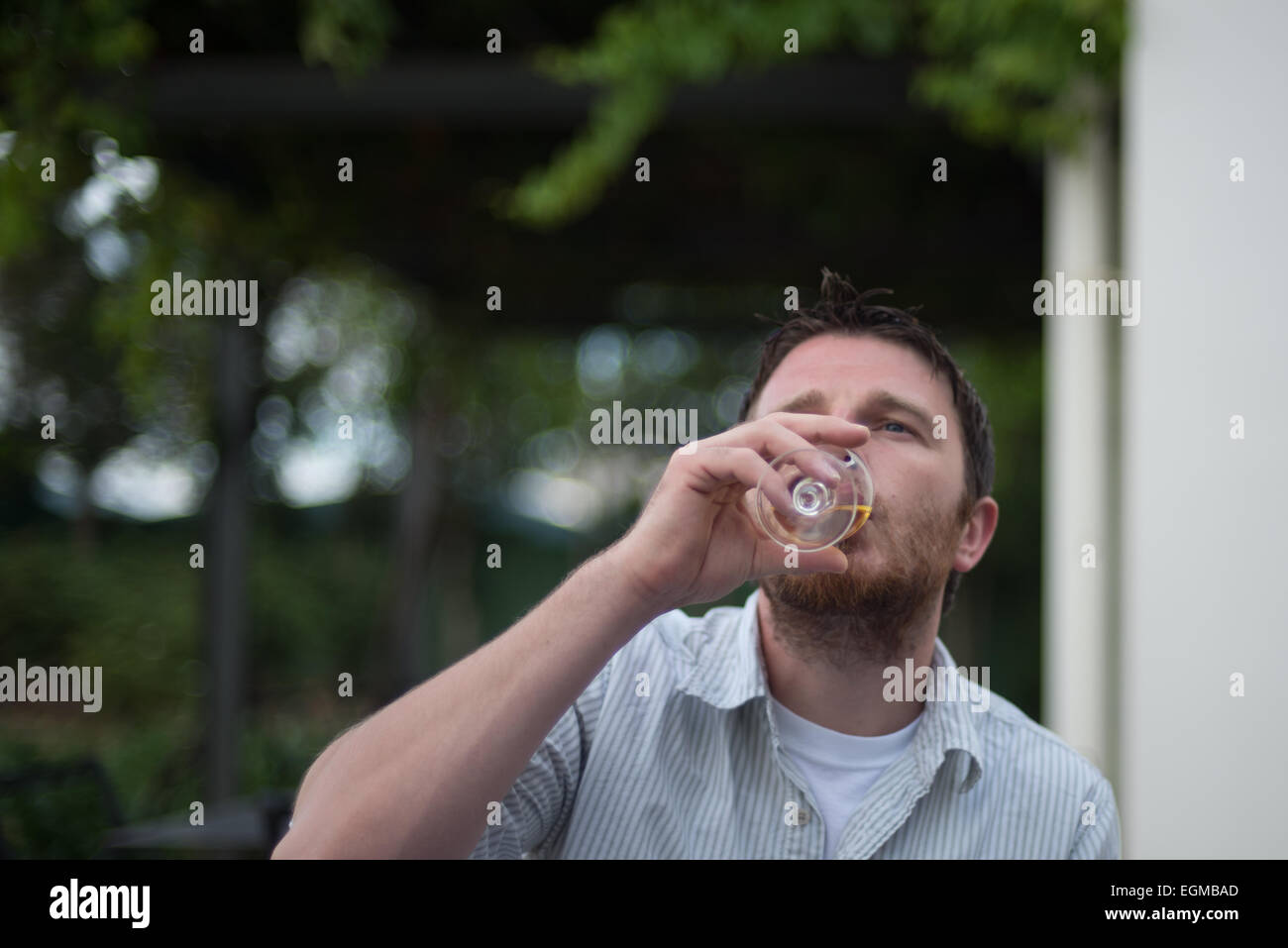 A man drinking wine Stock Photo - Alamy