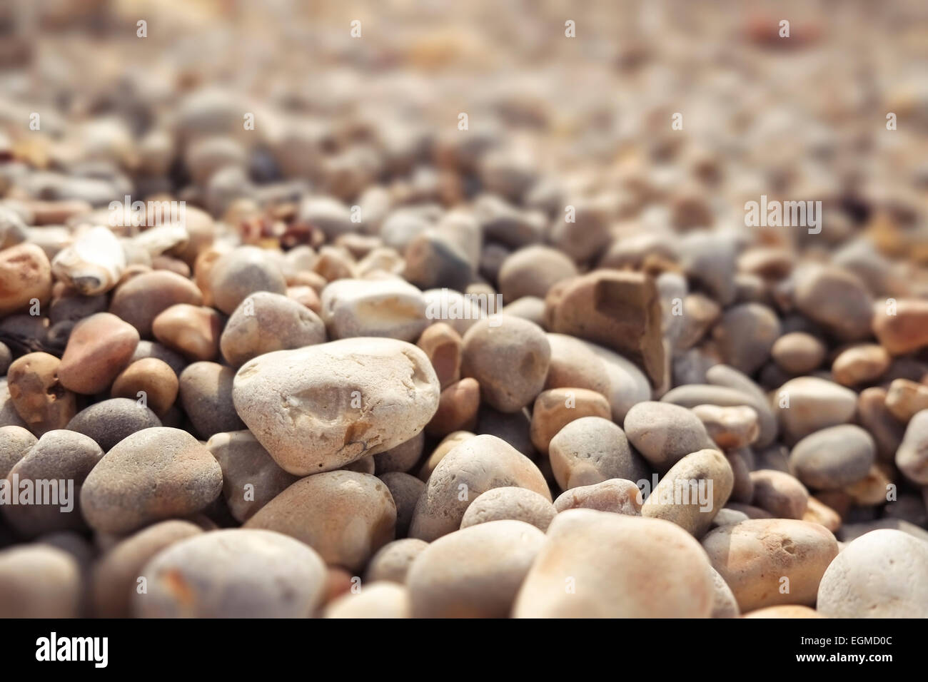 close up of pebbles on a beach lit by low afternoon sun with narrow depth of field Stock Photo