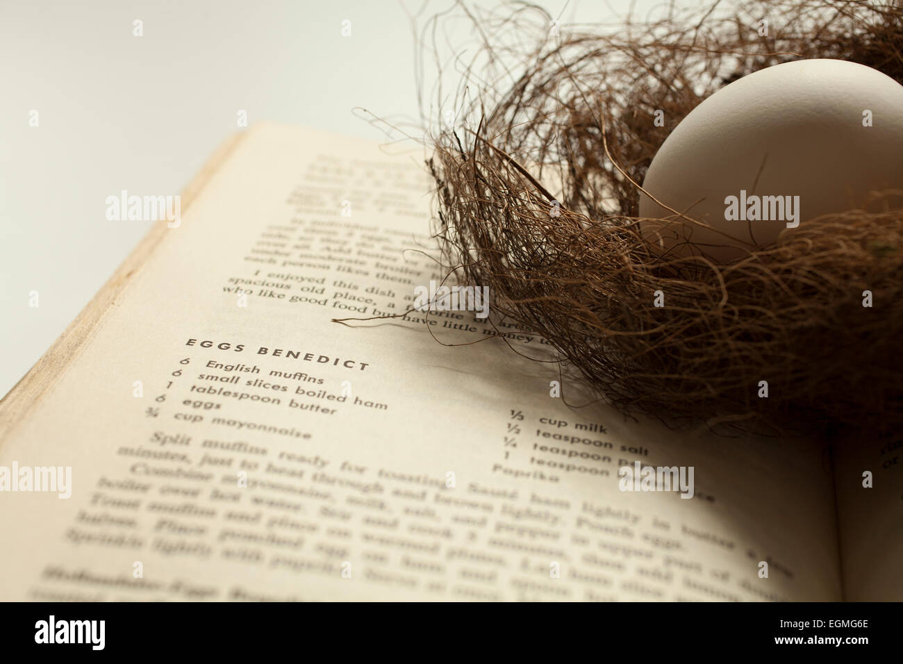 An egg in a delicate bird nest rests on a cookbook opened to a recipe for scrambled eggs. Stock Photo