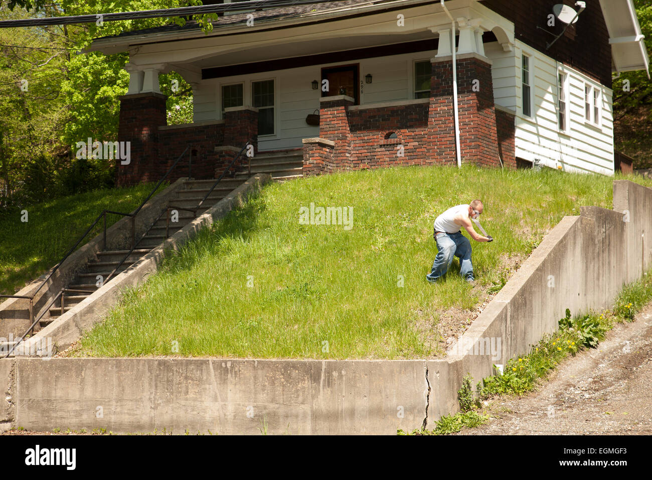 Young man cuts overgrown lawn with a machete on a very steeply sloping front yard in North Adams Massachusetts. Stock Photo