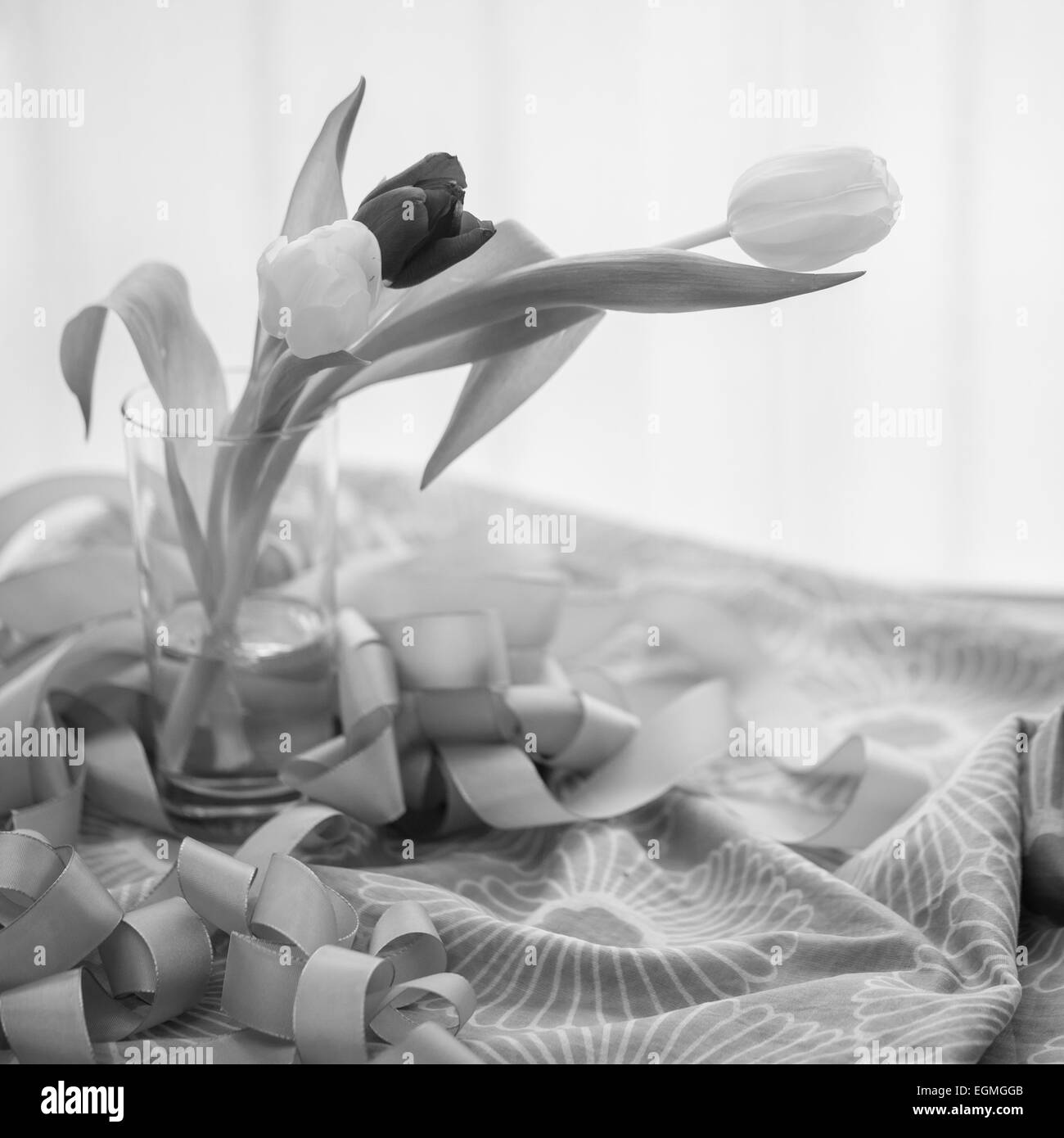 Tulips in Black and White, and images of flowers on the table with ribbon and decorated table cloth Stock Photo