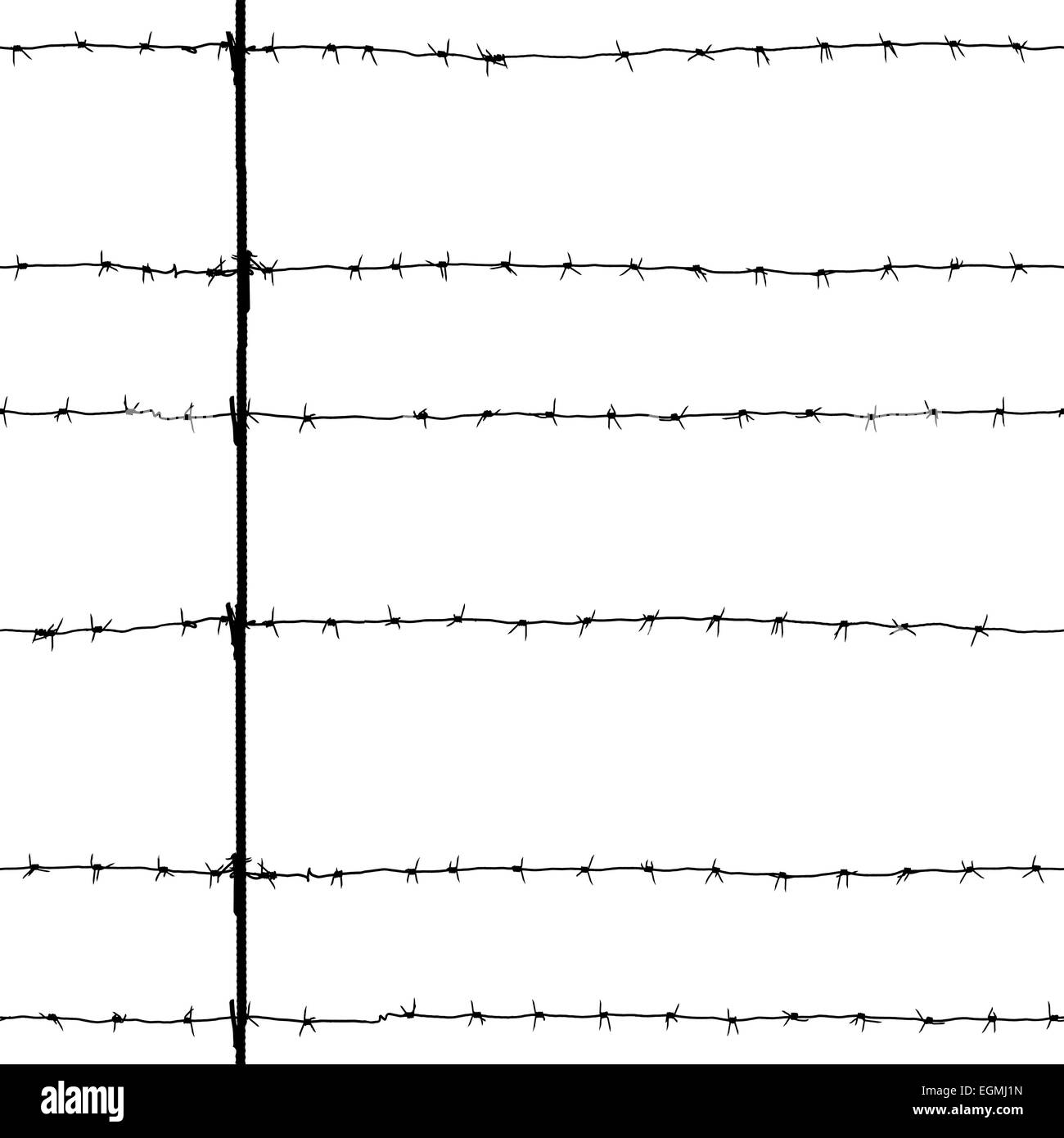 Seamless texture of old black barbed wire silhouette isolated on white background Stock Photo