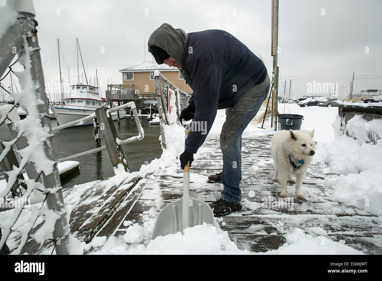 Norfolk, Virginia, USA. 26th Feb, 2015. Paul Kral, of Norfolk, shovels the dock area of Willoughby Harbor Marina while his dog, Lucky, an American Eskimo breed, watches on. Credit:  Jay Westcott/ZUMAPRESS.com/Alamy Live News Stock Photo