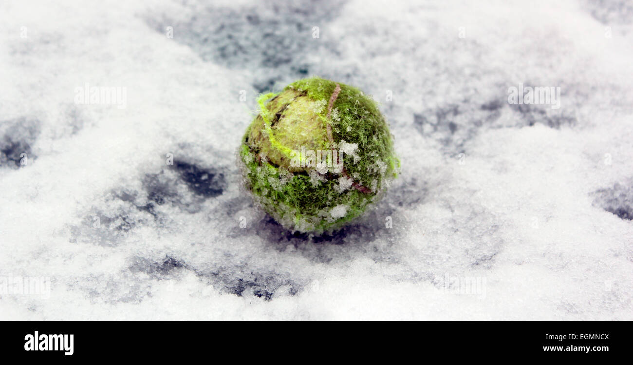 Ball launcher hi-res stock photography and images - Alamy