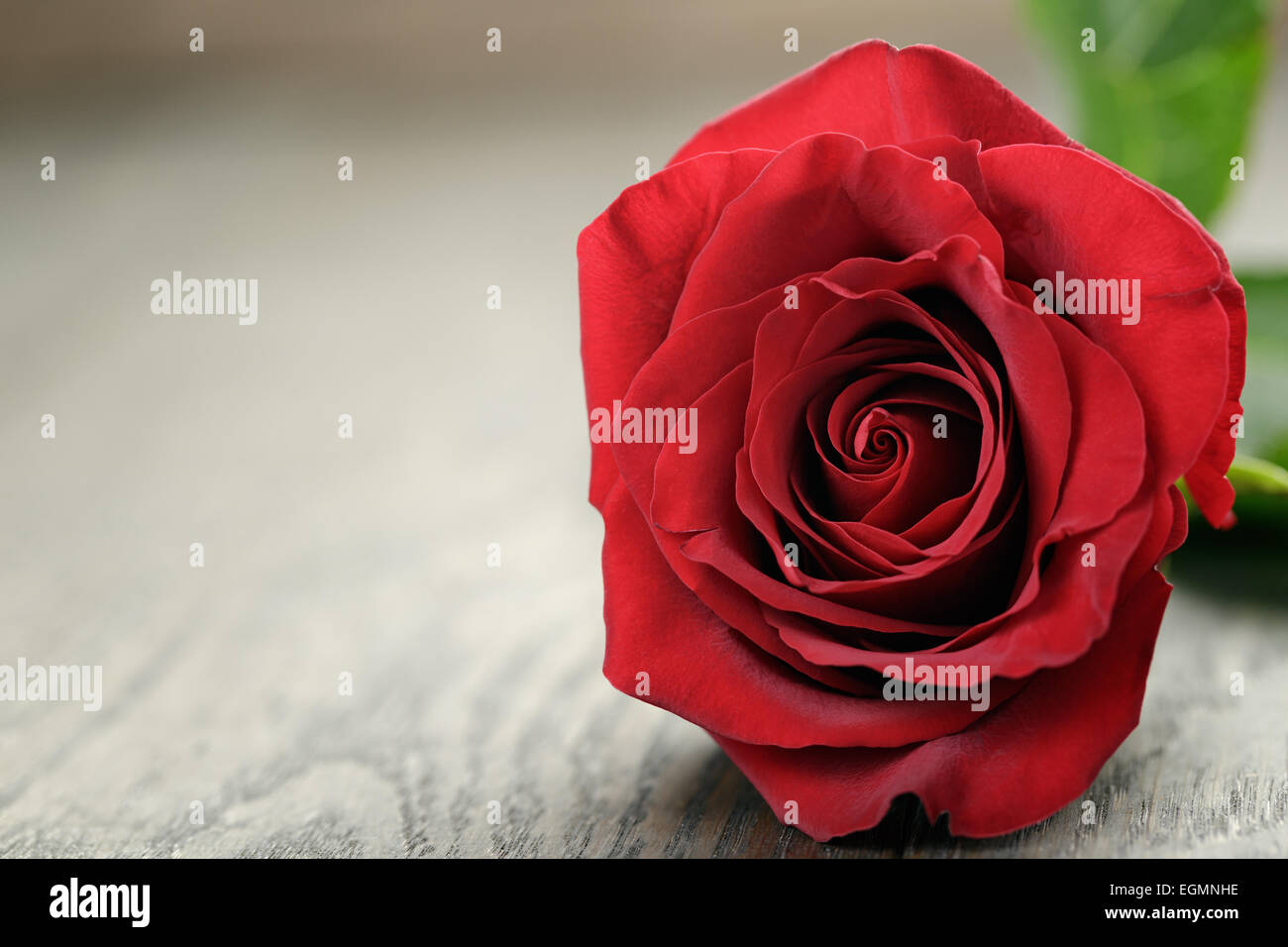 Romantic background with red rose on wood table Stock Photo - Alamy