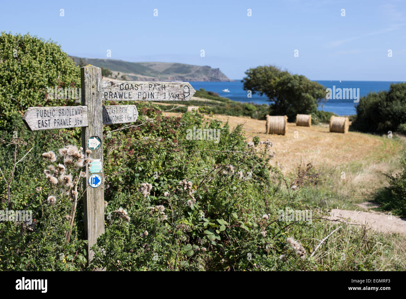 Countryside at East Prawle, Devon Stock Photo Alamy