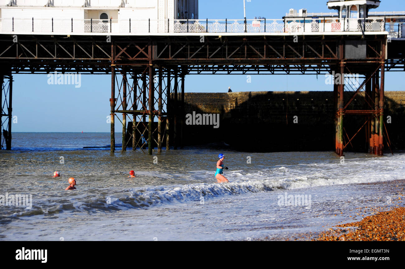 Brighton, Sussex, UK. Members of Brighton Swimming Club enjoy their daily early morning dip in the sea Stock Photo