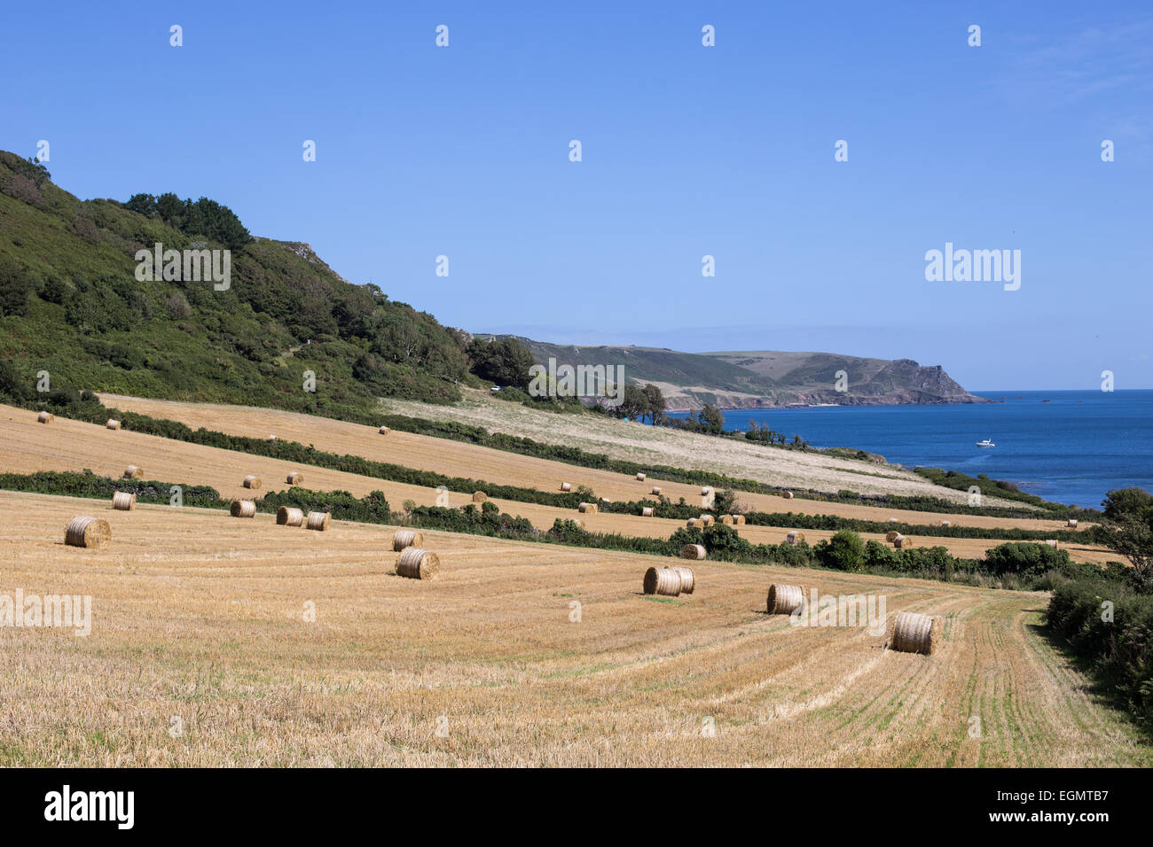 Countryside at East Prawle, Devon Stock Photo Alamy