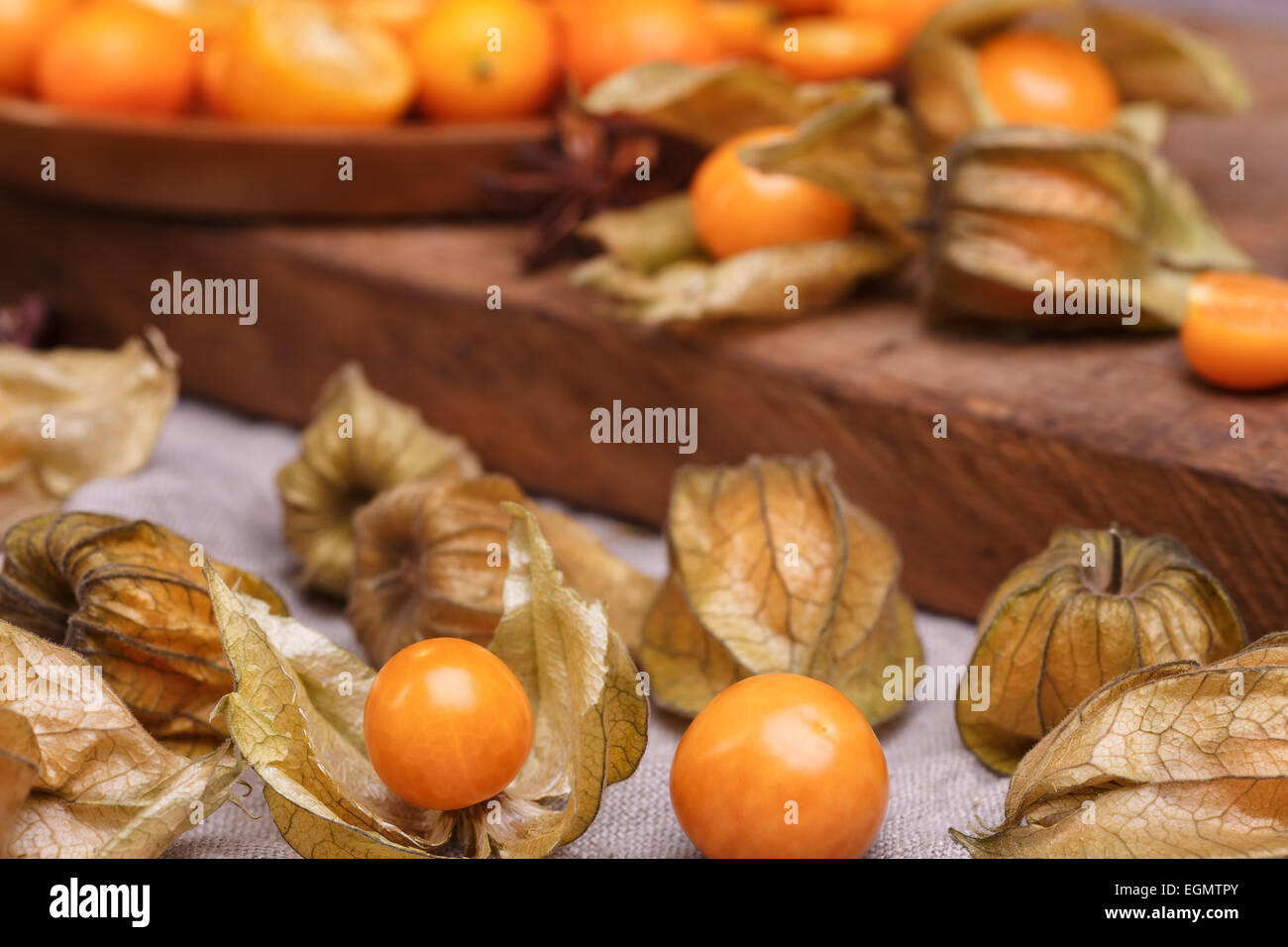 physalis and kumquat Stock Photo Alamy