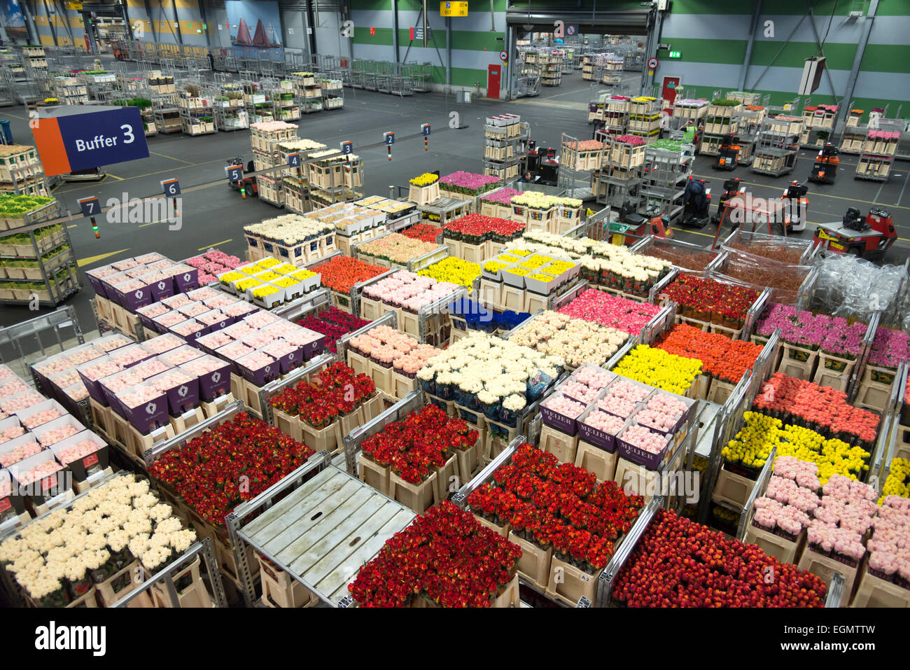 Boxes of flowers in the warehouse  at the Flora Holland flower auction at Aalsmeer Amsterdam Holland Stock Photo