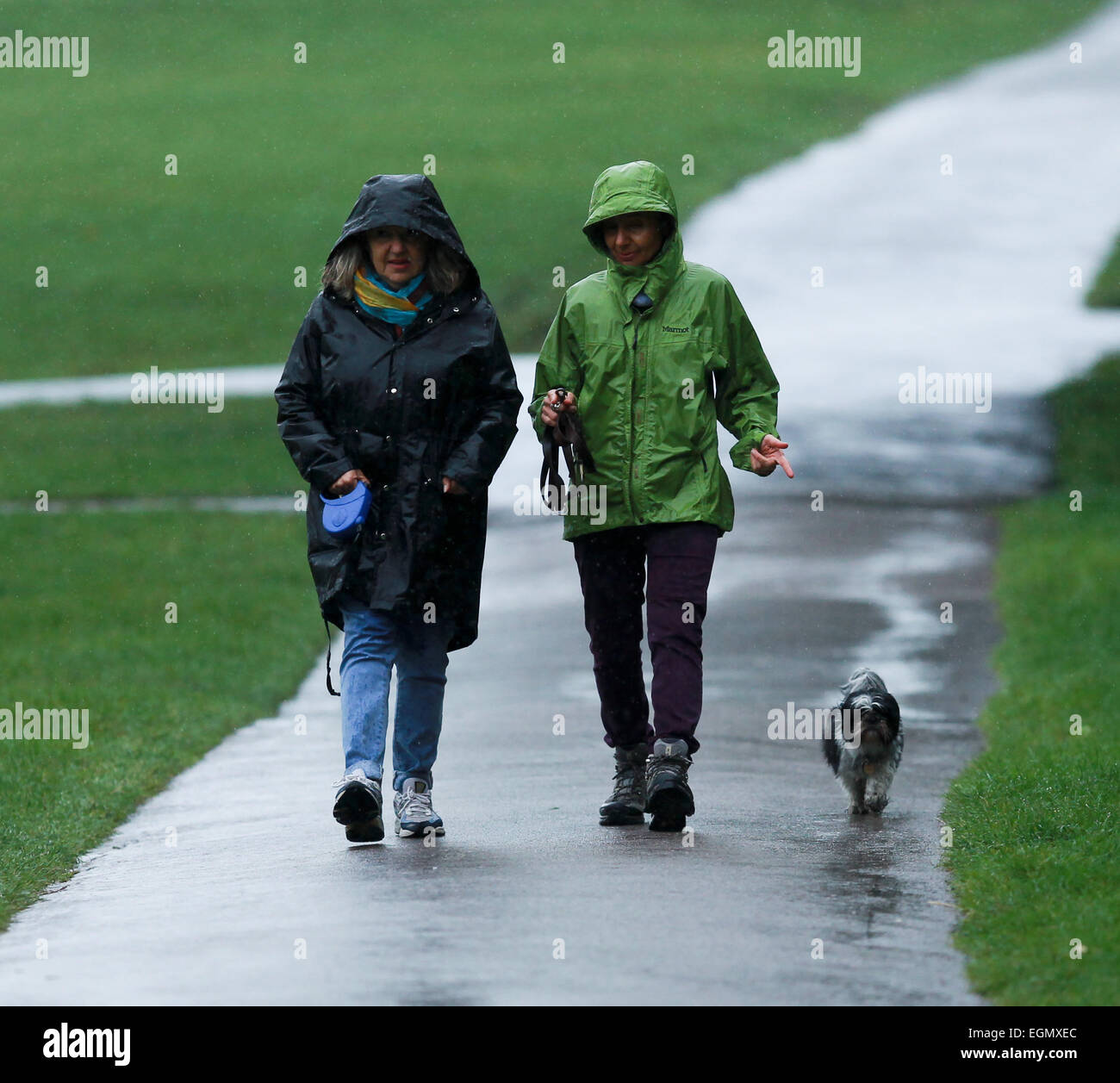 Heavy rain in London doesn't deter dog walkers or joggers in Hampstead but has closed the fairground in Victoria Park Featuring: Atmosphere Where: London, United Kingdom When: 25 Aug 2014 Stock Photo