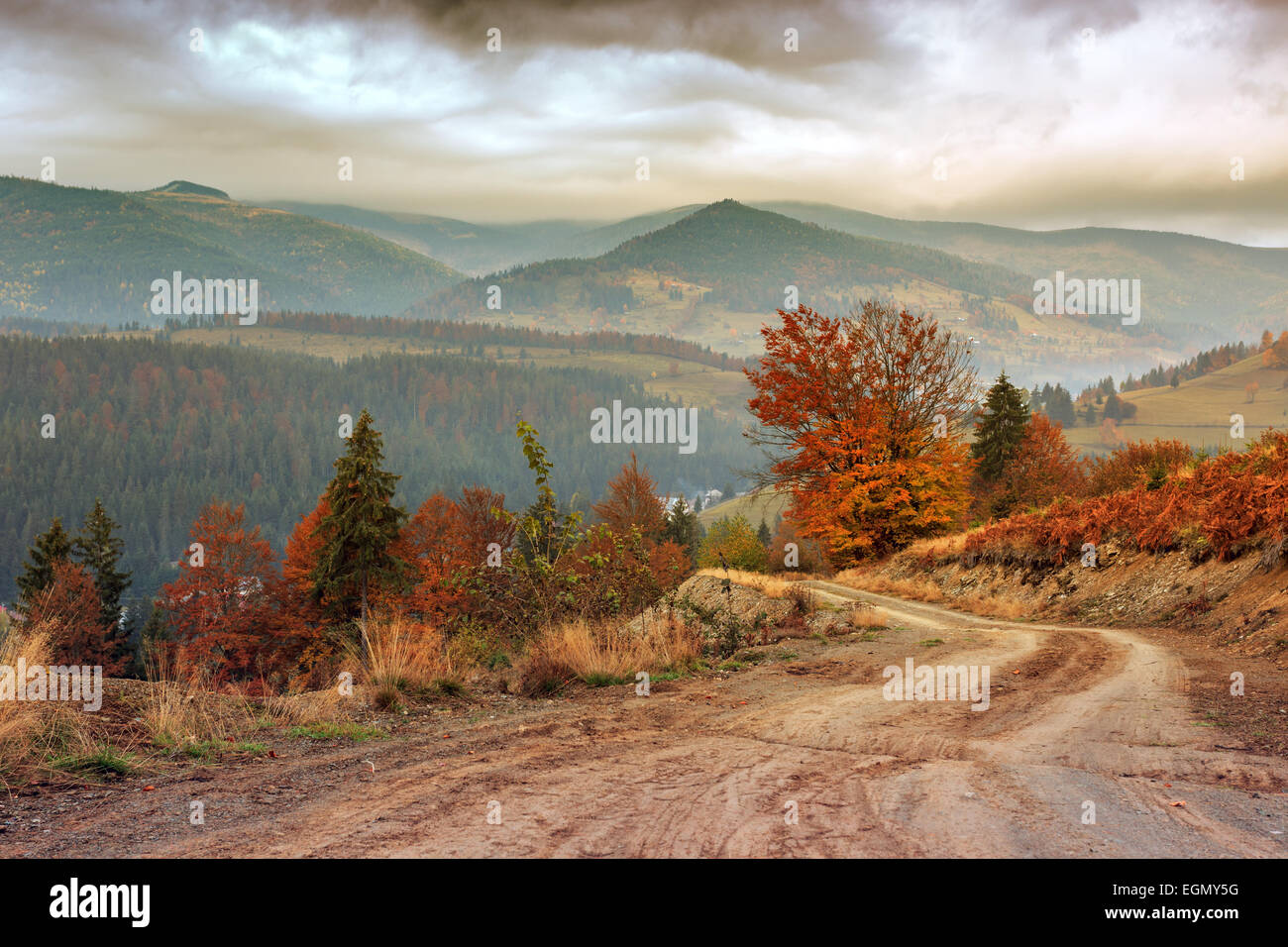 Morning in Carpathians mountain in Transylvania,Romania Stock Photo - Alamy