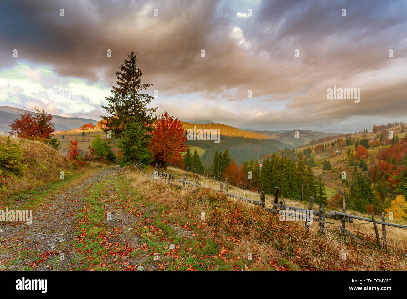 Morning in Carpathians mountain in Transylvania,Romania Stock Photo - Alamy