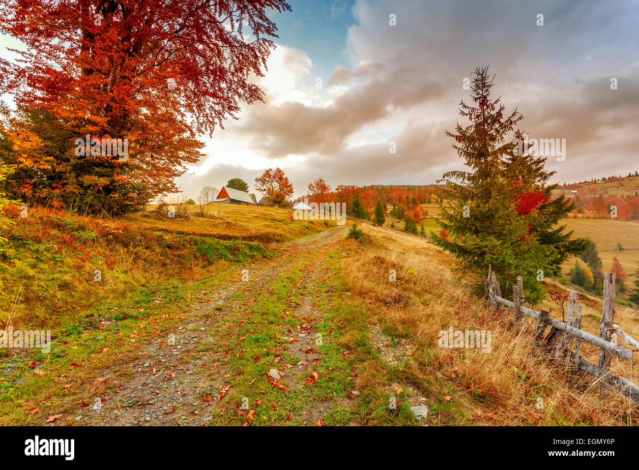 Morning in Carpathians mountain in Transylvania,Romania Stock Photo - Alamy