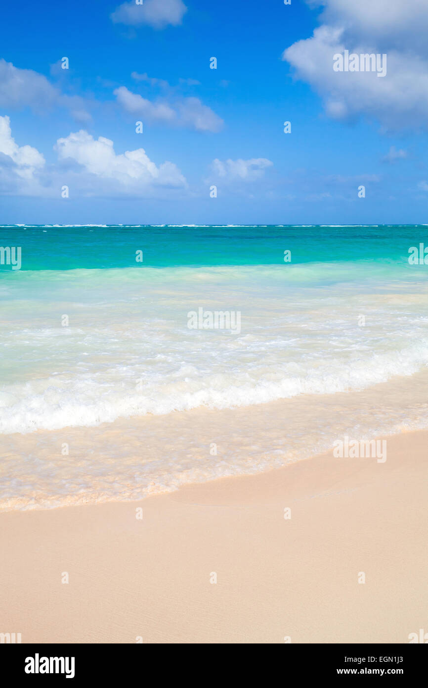 Vertical coastal sea landscape. Atlantic ocean coast, Dominican republic. Punta Cana Stock Photo