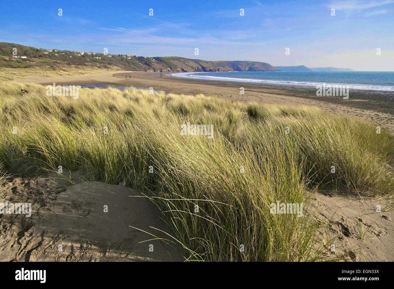Sand dunes at 'Freshwater East', Pembrokshire, UK. Stock Photo