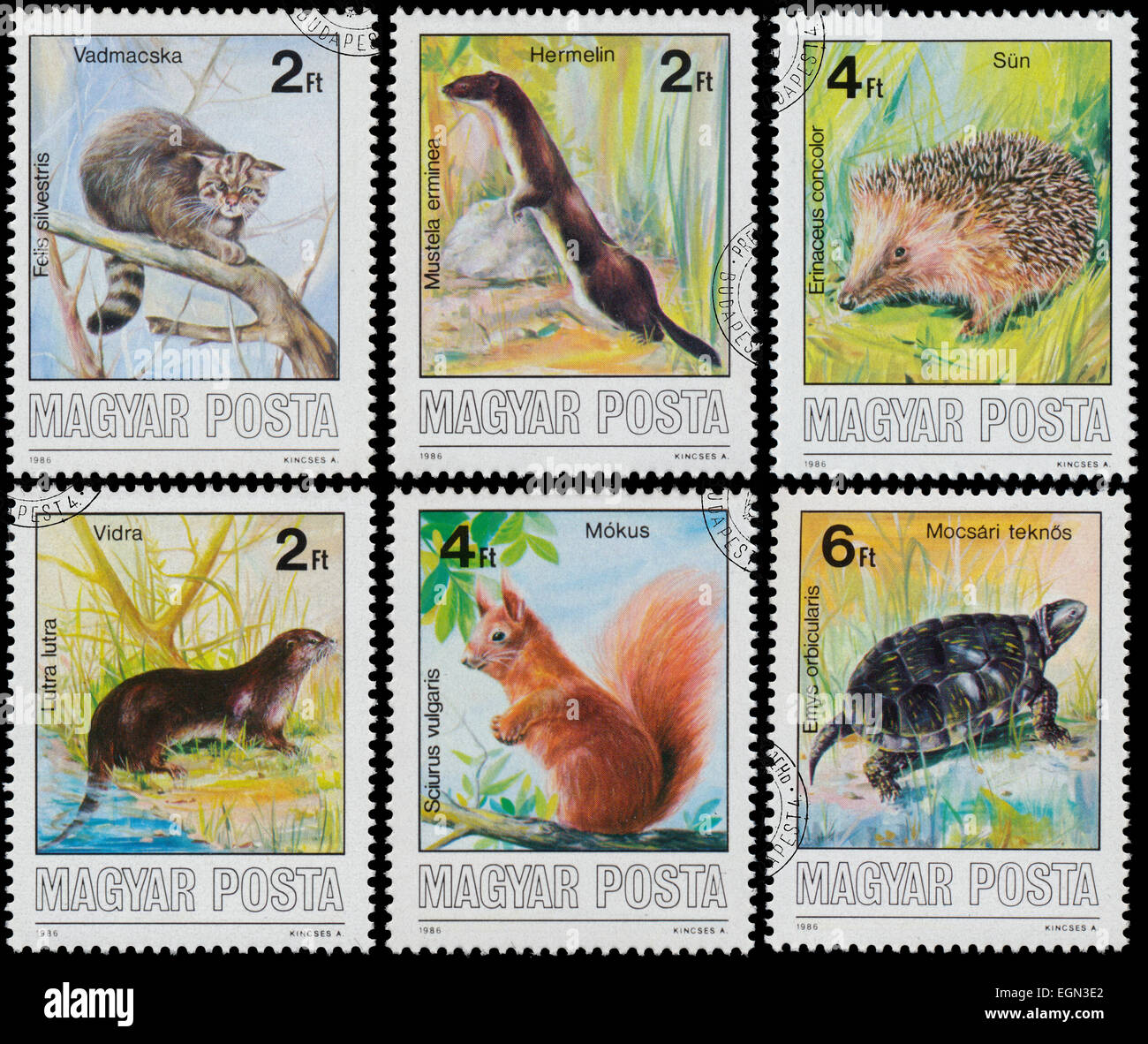 HUNGARY - CIRCA 1986: Set of stamps printed by Hungary show Protected ...