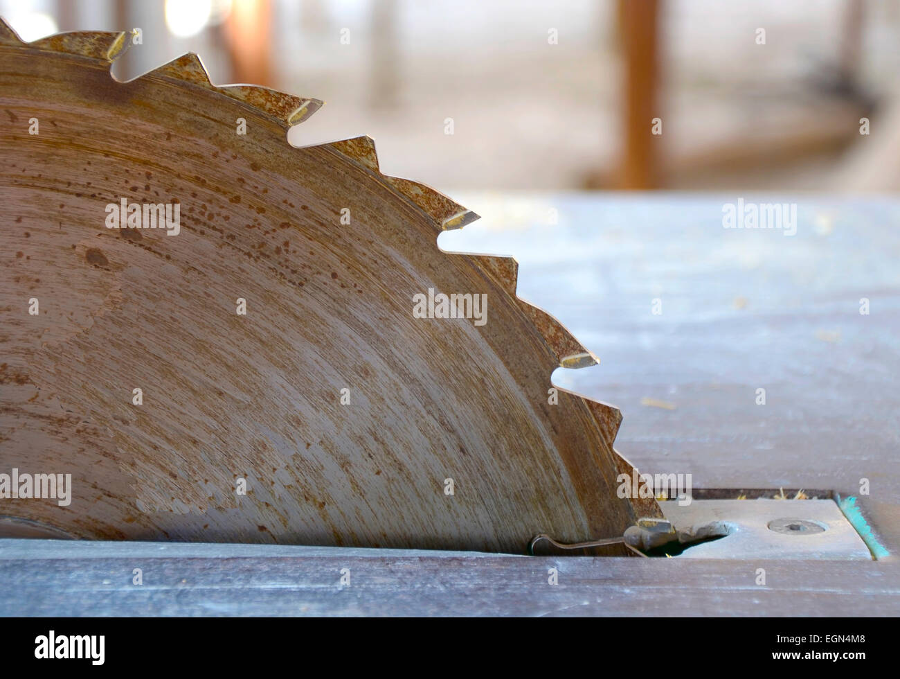 close up for circular saw in carpenter's shop. Focus is on the tools and tiles. Stock Photo