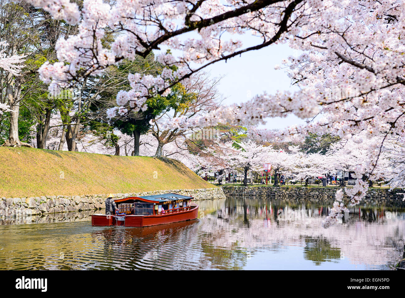 Hikone, Japan moat around Hikone Castle in the spring. Stock Photo