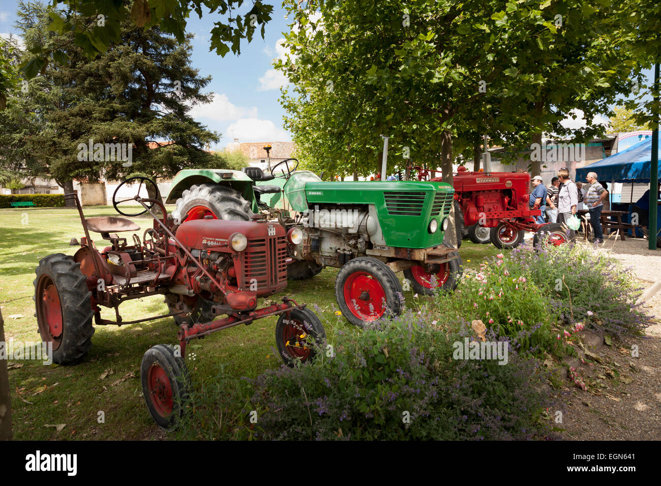 New old and vintage tractors on display at show in Aigre France Stock Photo
