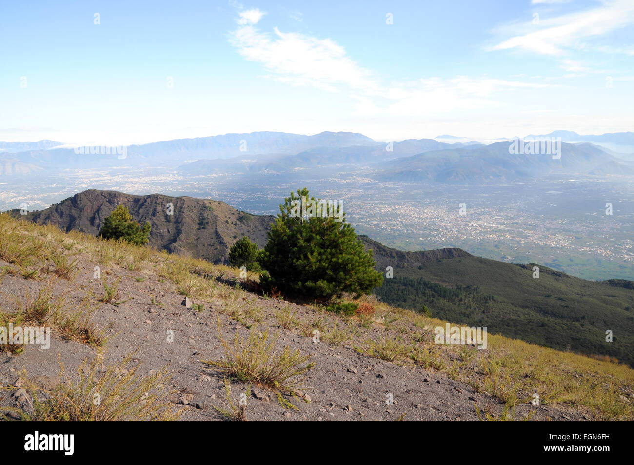 Vesuvio volcano Italy  pino pine tree landscape Stock Photo