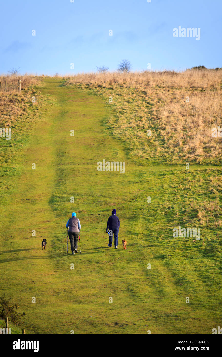 Two people walking dogs up hill in countryside Stock Photo