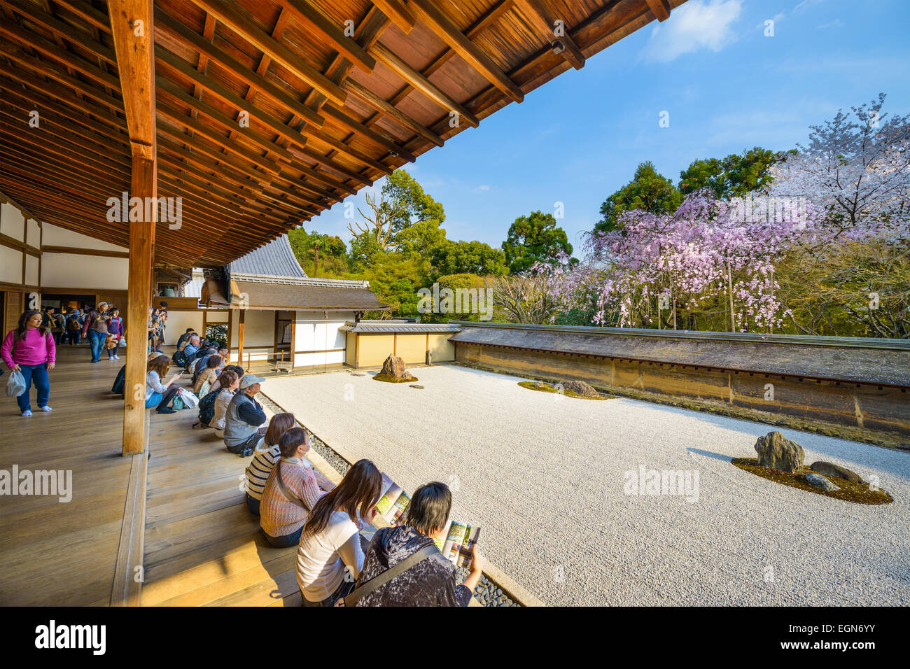 Tourists sit and observe the spring cherry trees of Ryoan-ji Temple in Kyoto, Japan. Stock Photo