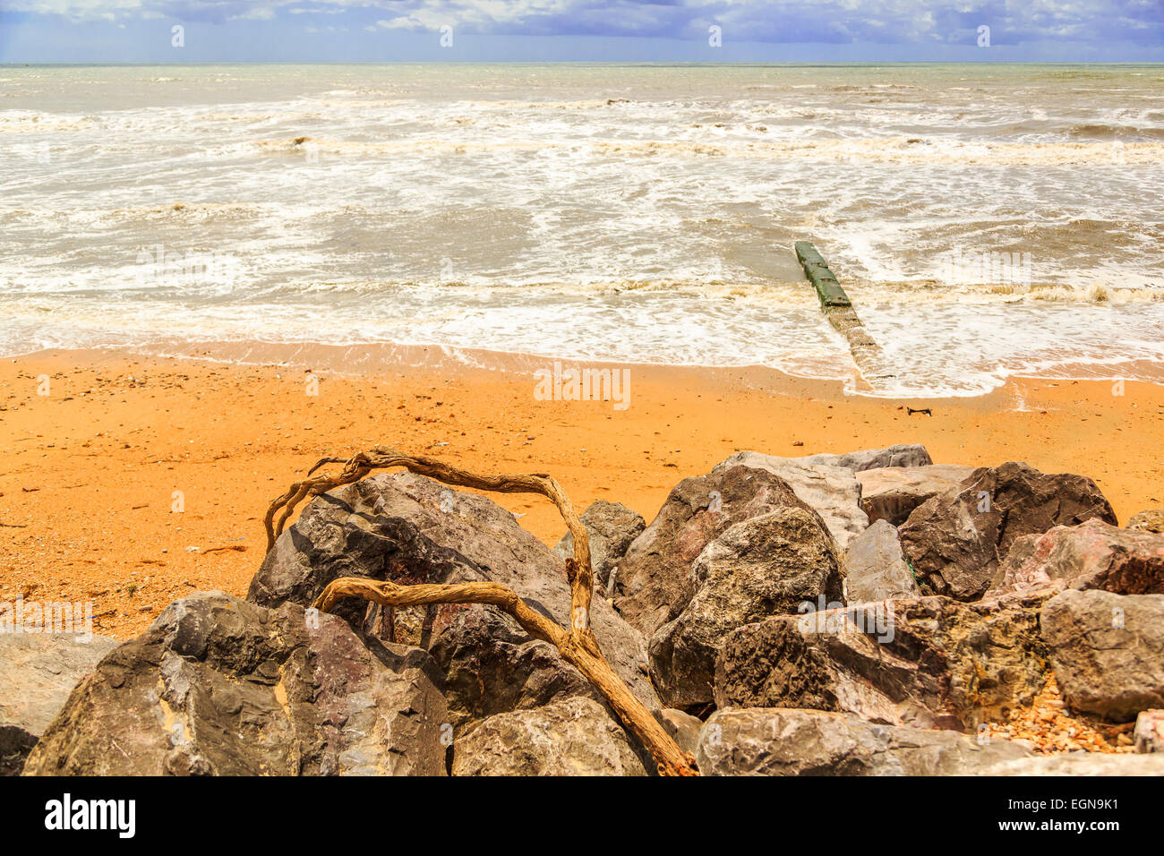 Rock & driftwood on a South coast beach, Dorset, England, UK Stock