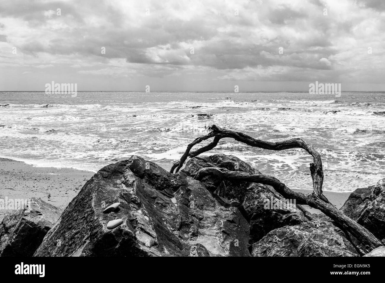 Rock & driftwood on a South coast beach, Dorset, England, UK Stock Photo