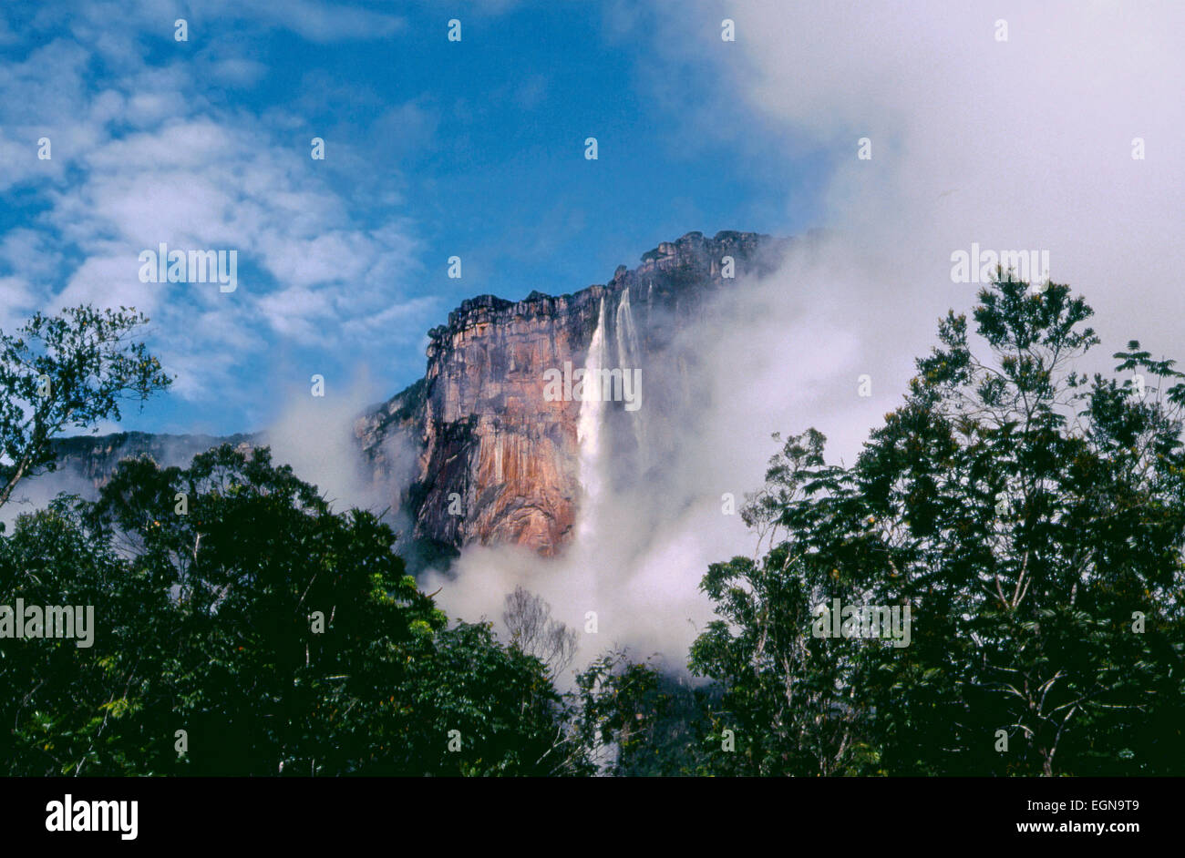 Salto Angel Falls - Canaima National Park - Venezuela 2 Stock Photo