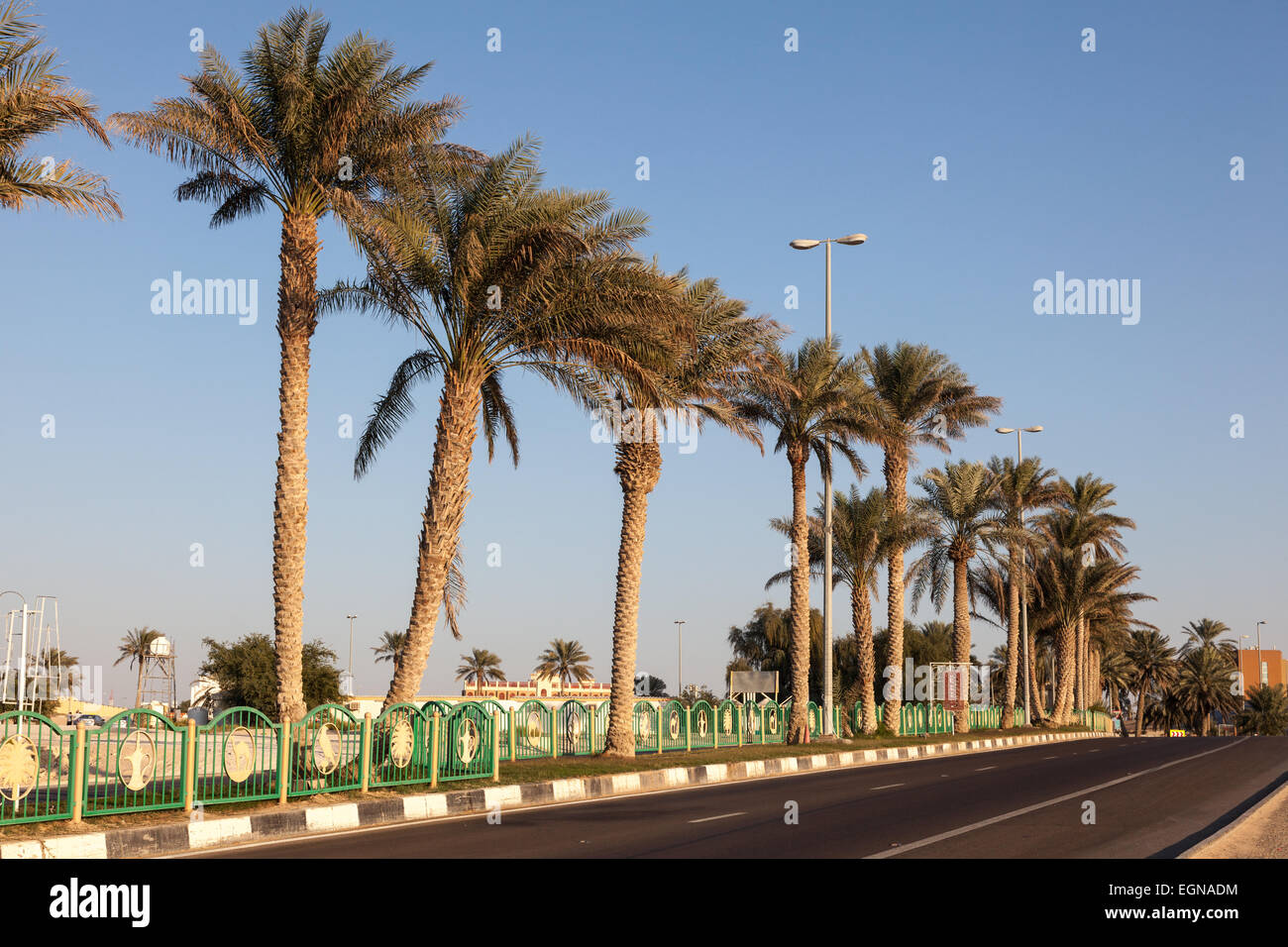 Palm Trees Alley in town Mezairaa. Liwa Oasis Area, Emirate of Abu Dhabi, UAE Stock Photo