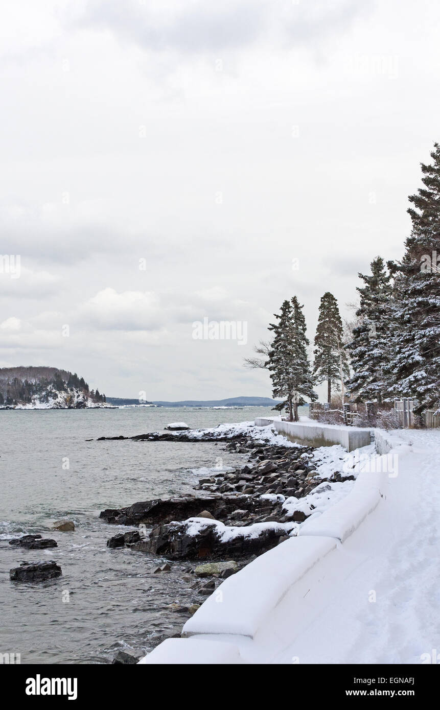 A winter view of Bar Harbor's Shore Path, with Bald Porcupine Island in