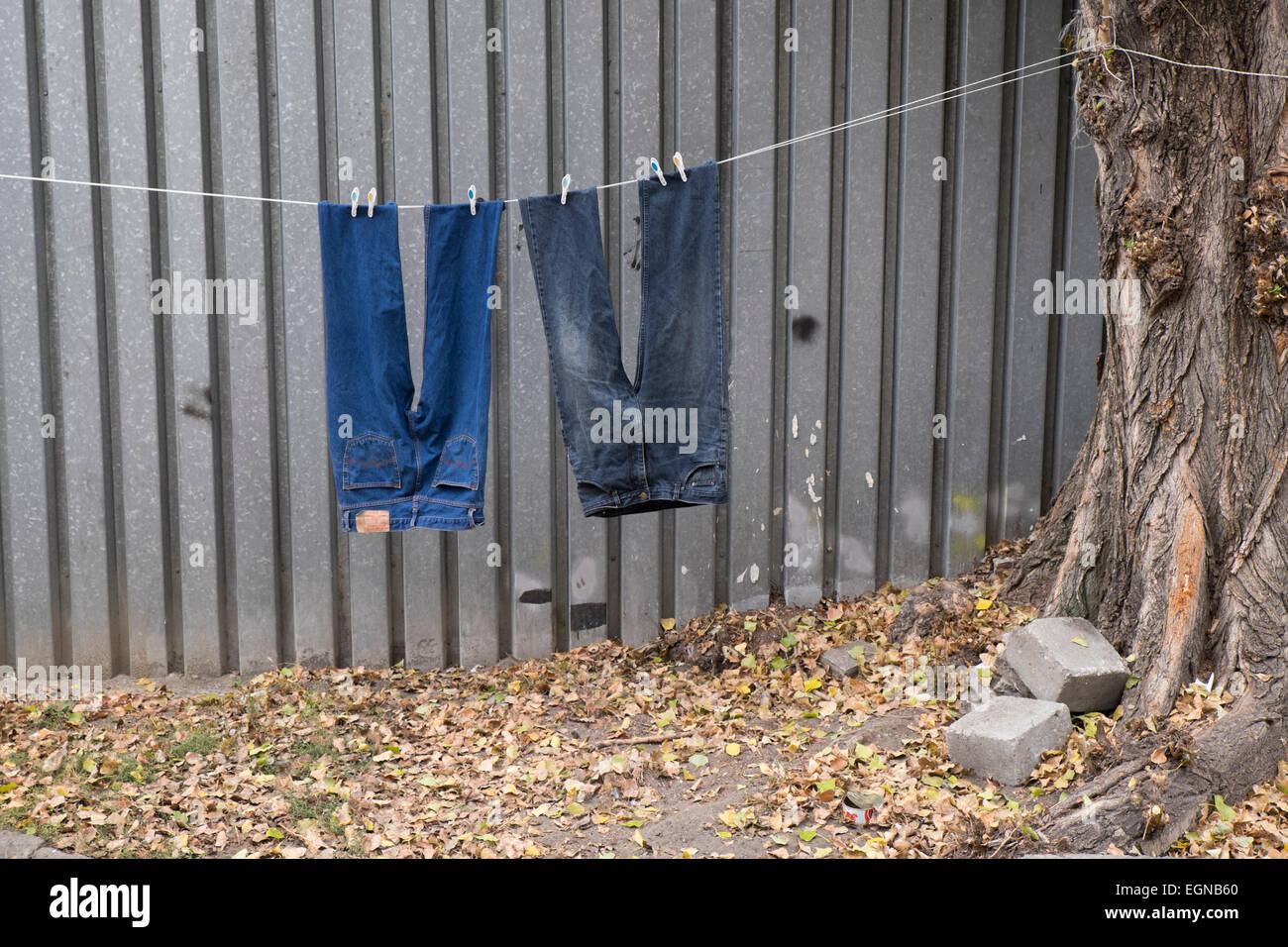 Jeans hanging out to dry Stock Photo Alamy