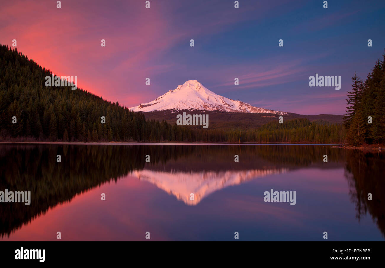 Setting sunlight on Mount Hood from Trillium Lake, Cascade Mountains, Oregon, USA Stock Photo