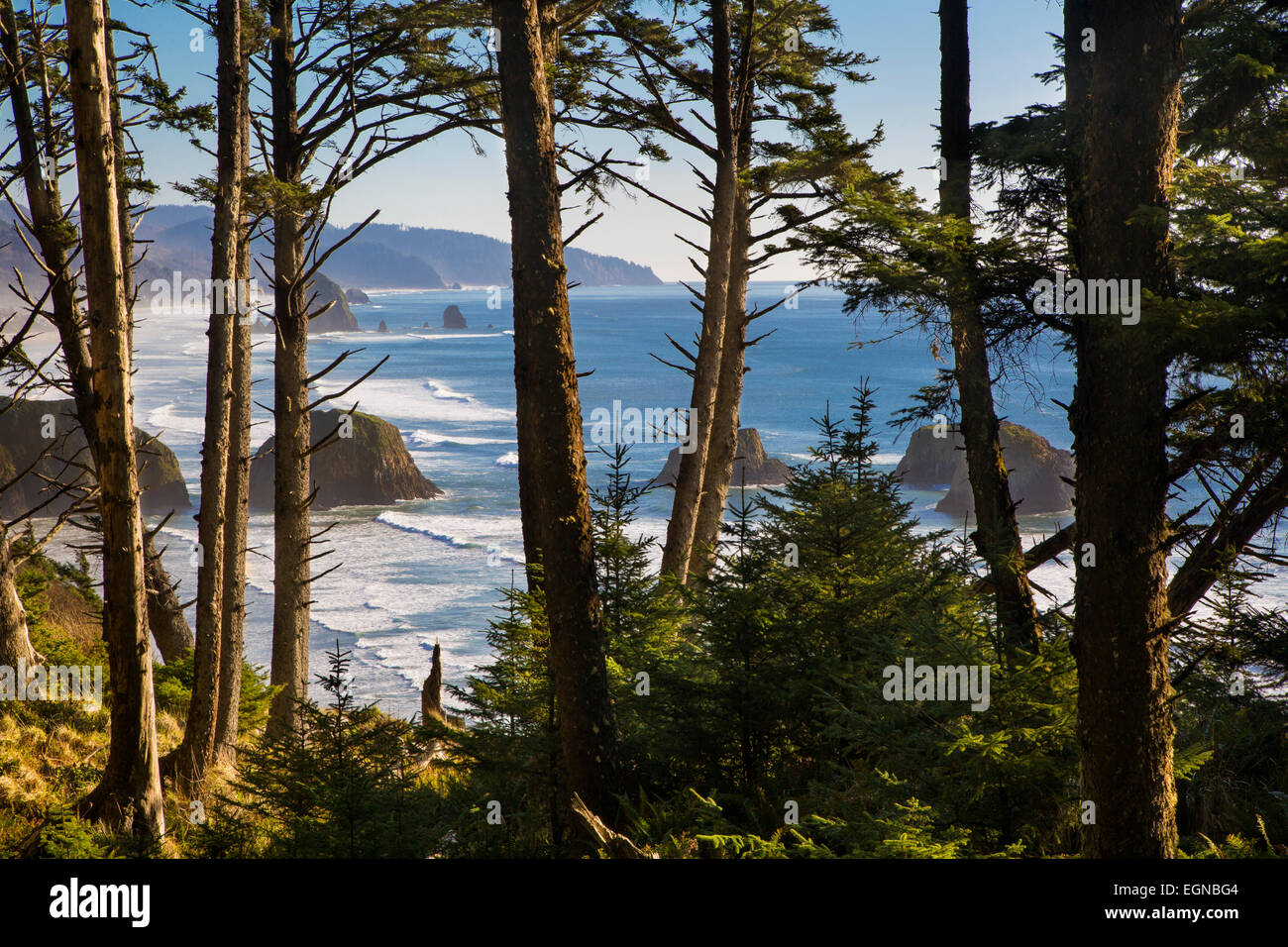 Oregon coastline at Cannon Beach - viewed through the trees at Ecola State Park, Oregon, USA Stock Photo