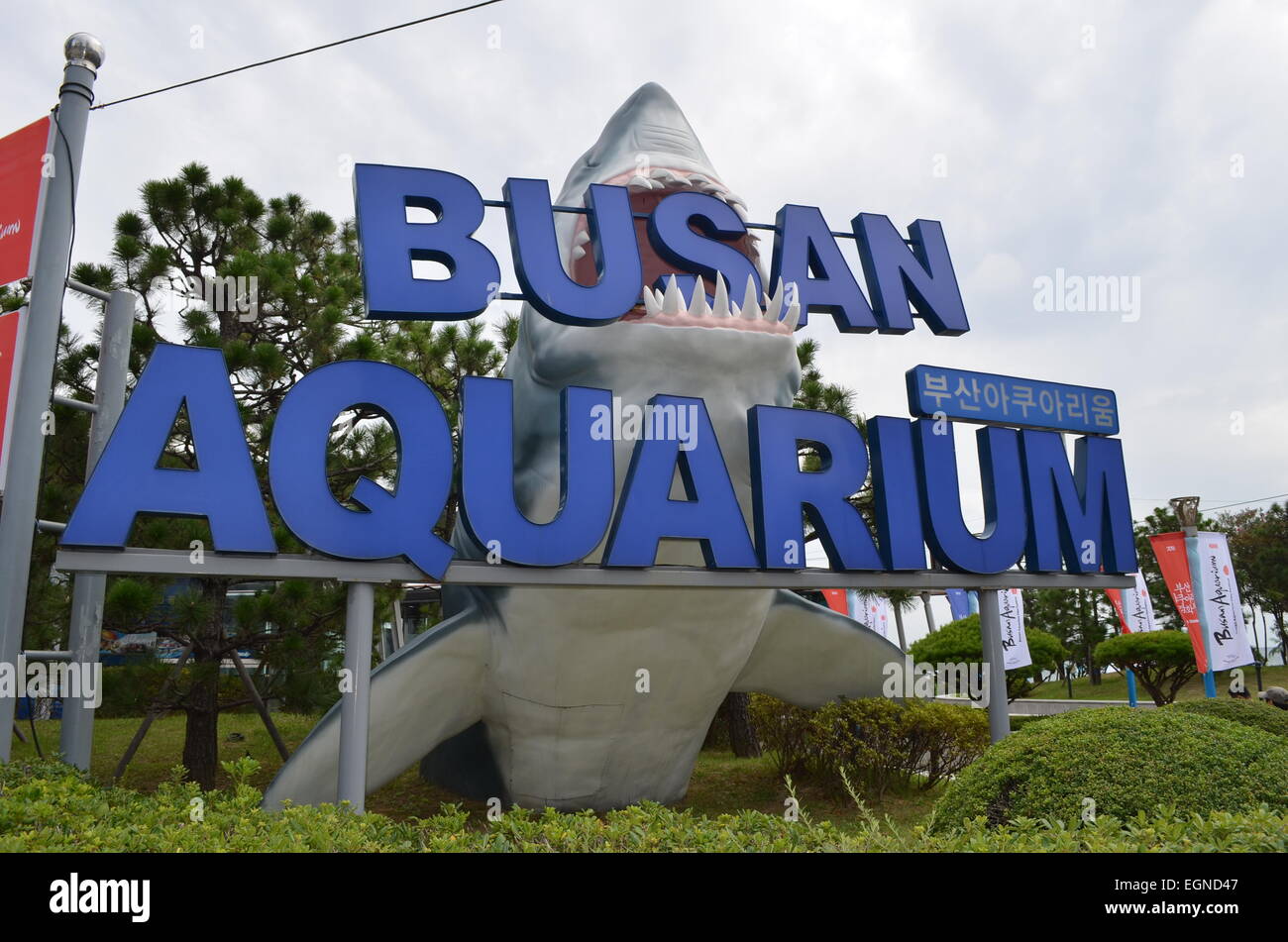 Busan Aquarium Entrance Sign in Busan, South Korea Stock Photo - Alamy
