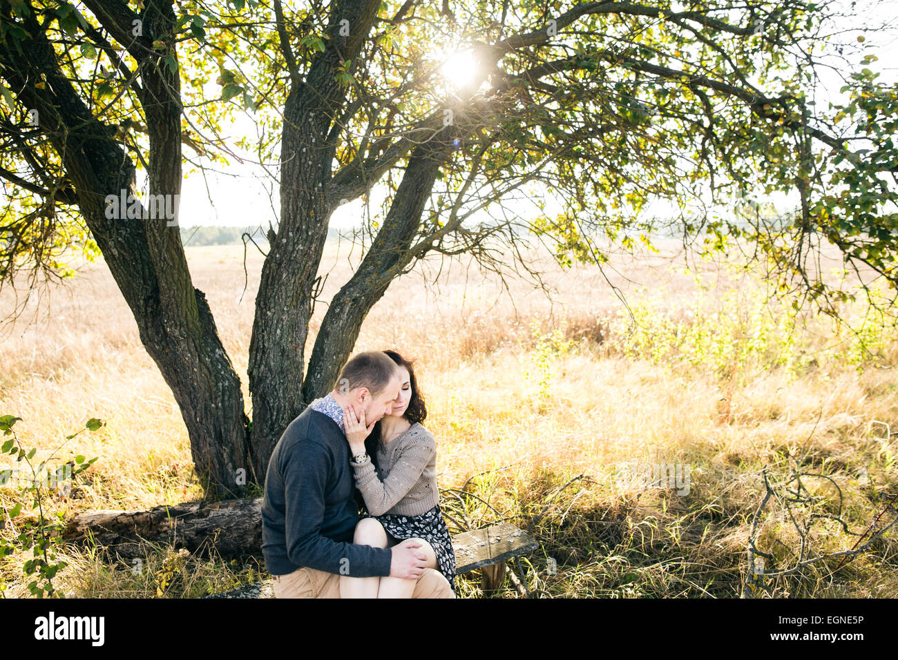 Image of a young couple hugging while sitting under a tree at autumn sunset Stock Photo